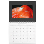 IMG_1311, 2008 KALENDER (Feb 2027)