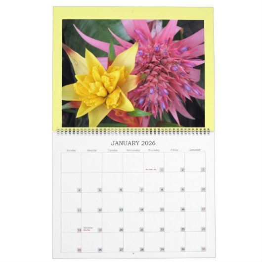 IMG_1311, 2008 KALENDER (Jan 2026)