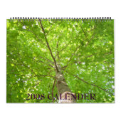 IMG_1311, 2008 KALENDER (Titelbild)