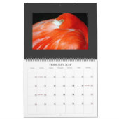 IMG_1311, 2008 KALENDER (Feb 2026)