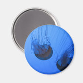 IMG_1319 MAGNET (Vorderseite/Rückseite)