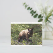 IMG_1319 POSTKARTE (Stehend Vorderseite)