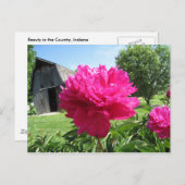 IMG_1506 POSTKARTE (Vorne/Hinten)