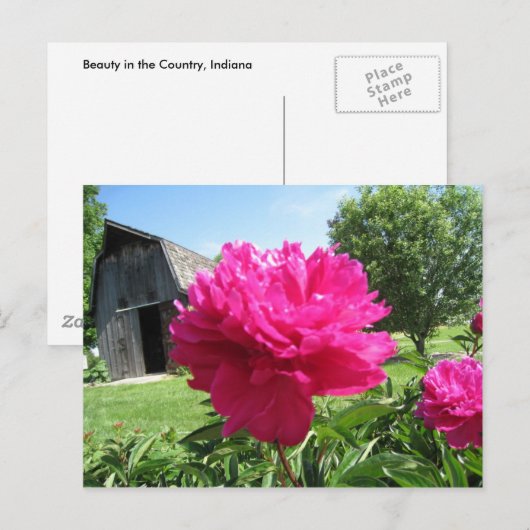 IMG_1506 POSTKARTE (Vorne/Hinten)