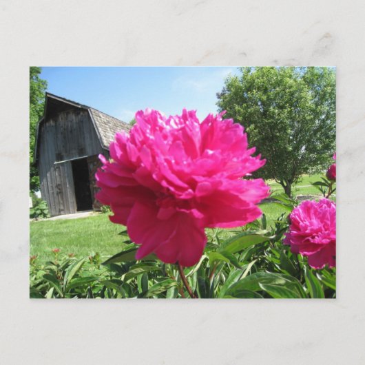 IMG_1506 POSTKARTE (Vorderseite)