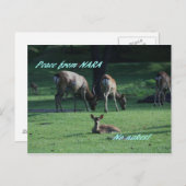 IMG_1652 NARA POSTKARTE (Vorne/Hinten)