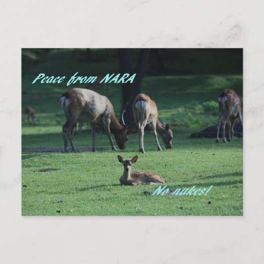 IMG_1652 NARA POSTKARTE (Vorderseite)