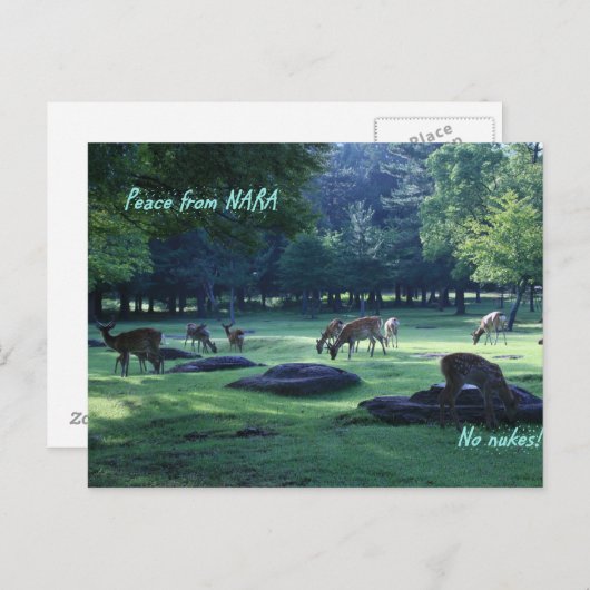 IMG_1664 NARA POSTKARTE (Vorne/Hinten)