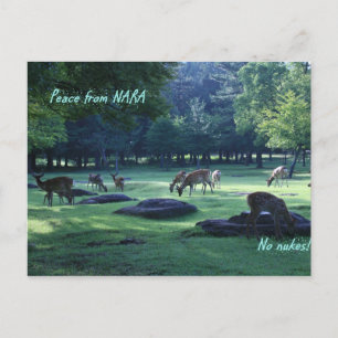 IMG_1664 NARA POSTKARTE