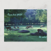 IMG_1664 NARA POSTKARTE (Vorderseite)