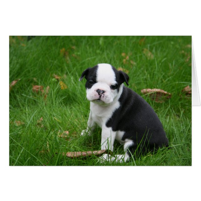 IMG_1665 (Vorderseite (Horizontal))