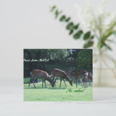 IMG_1699 POSTKARTE (Stehend Vorderseite)