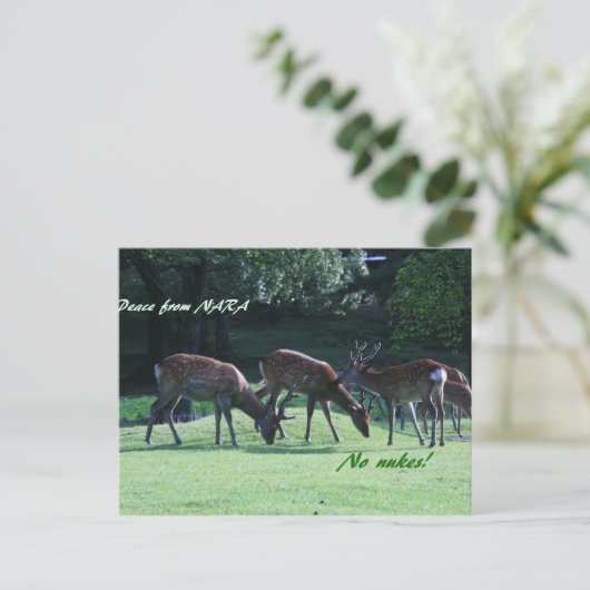 IMG_1699 POSTKARTE (Stehend Vorderseite)