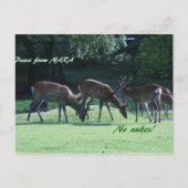 IMG_1699 POSTKARTE (Vorderseite)