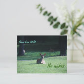 IMG_1713 nara Postkarte (Stehend Vorderseite)