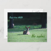 IMG_1713 nara Postkarte (Vorne/Hinten)