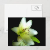 IMG_1980 POSTKARTE (Vorne/Hinten)