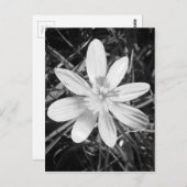 IMG_20150324_210135.jpg Postkarte (Vorne/Hinten)