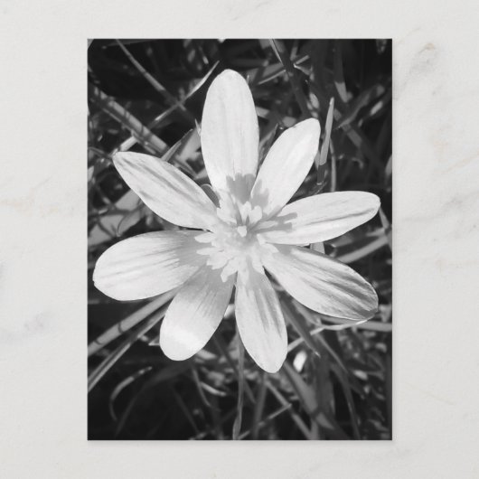 IMG_20150324_210135.jpg Postkarte (Vorderseite)