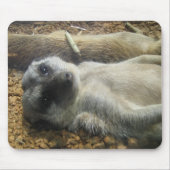 IMG_2196 MOUSEPAD (Vorne)