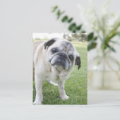 IMG_2562 POSTKARTE (Stehend Vorderseite)