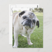 IMG_2562 POSTKARTE (Vorne/Hinten)