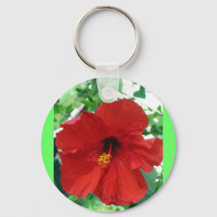 IMG_2905_editiert Schlüsselanhänger