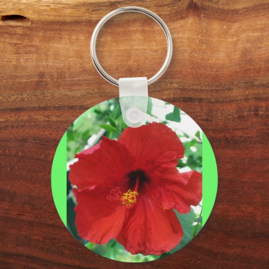 IMG_2905_editiert Schlüsselanhänger (Vorderseite)