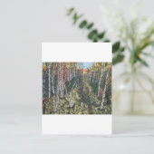 IMG_2974.JPGWhite Birch Trail Ride Postkarte (Stehend Vorderseite)