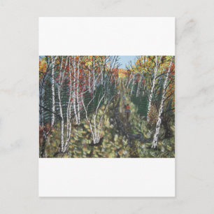 IMG_2974.JPGWhite Birch Trail Ride Postkarte