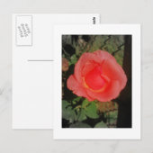 IMG_3046 POSTKARTE (Vorne/Hinten)