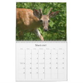 IMG_3352, unsere Lieblinge 2007 Kalender (Mär 2027)