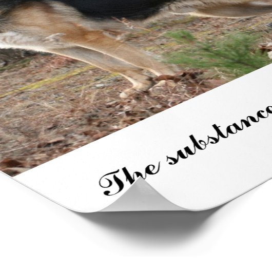 IMG_3539, Die Substanz hinter einem großen Anführe Poster (Ecke)