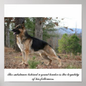 IMG_3539, Die Substanz hinter einem großen Anführe Poster (Vorne)