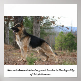 IMG_3539, Die Substanz hinter einem großen Anführe Poster