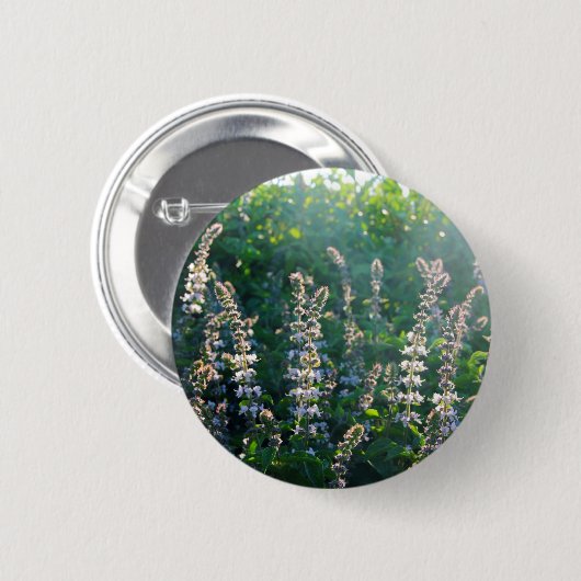 IMG_3703 BUTTON (Vorne & Hinten)