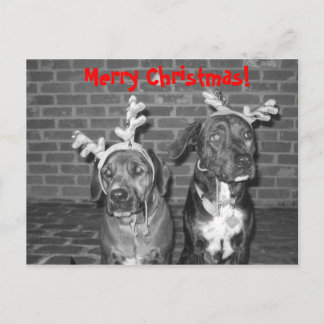 IMG_3721_2, Frohe Weihnachten! Feiertagspostkarte