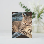 IMG_3960.JPG POSTKARTE (Stehend Vorderseite)