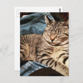 IMG_3960.JPG POSTKARTE (Vorne/Hinten)