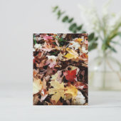 IMG_4035.JPG POSTKARTE (Stehend Vorderseite)