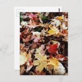 IMG_4035.JPG POSTKARTE (Vorne/Hinten)