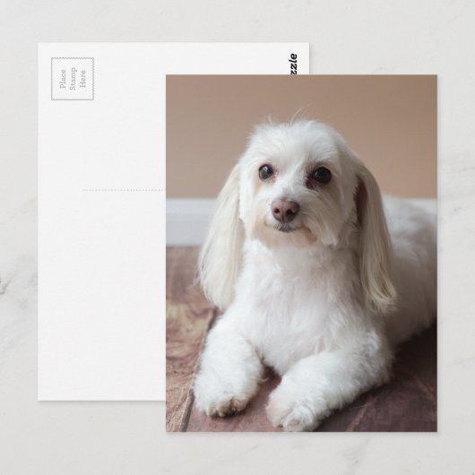 IMG_4050 POSTKARTE (Vorne/Hinten)