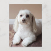 IMG_4050 POSTKARTE (Vorderseite)