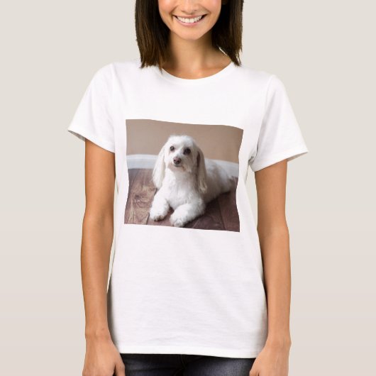 IMG_4050 T-Shirt (Vorderseite)