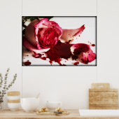 IMG_4906 POSTER (Küche)