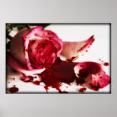 IMG_4906 POSTER (Vorne)