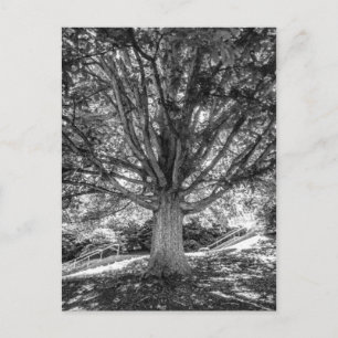 IMG_5219.JPG POSTKARTE