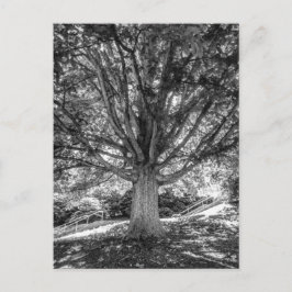 IMG_5219.JPG POSTKARTE