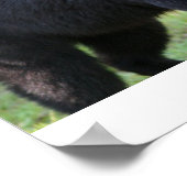 IMG_5587_editiert Poster (Ecke)