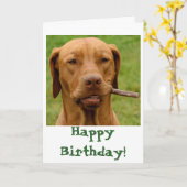 IMG_6106Fo'get About It!, Happy Birthday! Karte (Gelbe Blume)